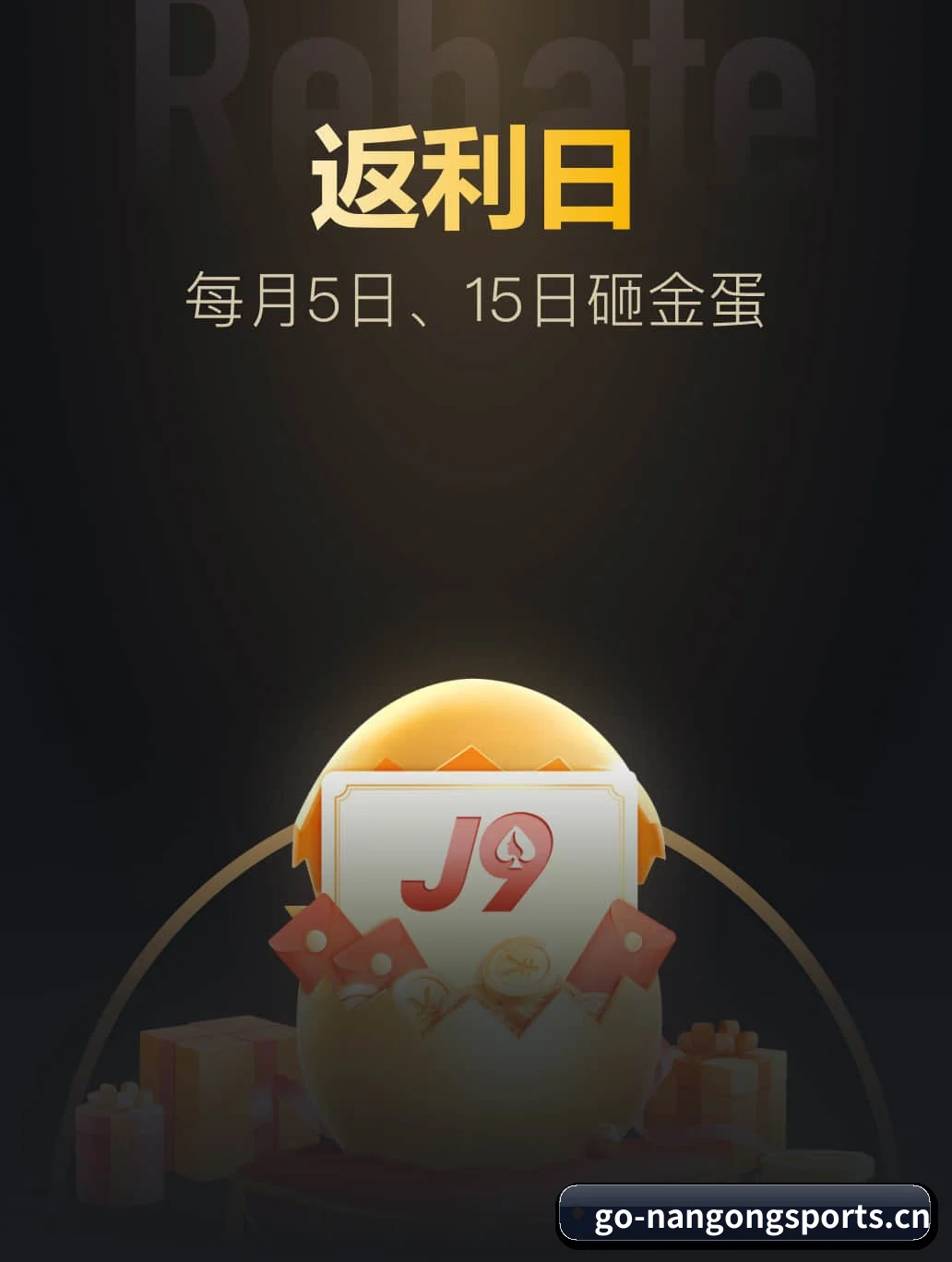 全流程赛事陪伴, 观赛有据可依